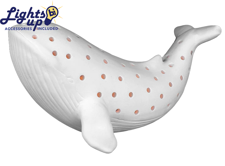 Lanterns & Light Ups